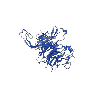 41667_8twe_B_v2-2
Cryo-EM structure of the PP2A:B55-FAM122A complex, B55 body