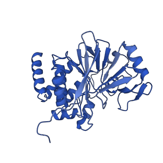 41668_8twi_C_v1-3
Cryo-EM structure of the PP2A:B55-FAM122A complex, PP2Ac body