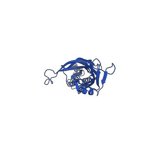 41672_8twv_A_v1-0
ELIC5 with Propylamine in spNW15 nanodiscs with 2:1:1 POPC:POPE:POPG