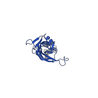 41672_8twv_C_v1-0
ELIC5 with Propylamine in spNW15 nanodiscs with 2:1:1 POPC:POPE:POPG