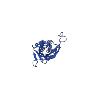 41672_8twv_D_v1-0
ELIC5 with Propylamine in spNW15 nanodiscs with 2:1:1 POPC:POPE:POPG