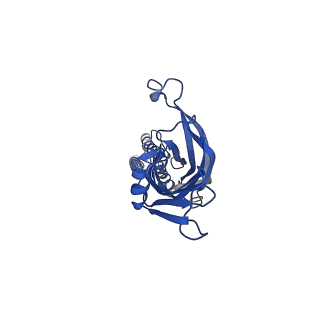 41673_8twz_C_v1-0
ELIC with Propylamine in spNW15 nanodiscs with 2:1:1 POPC:POPE:POPG