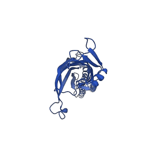 41673_8twz_E_v1-0
ELIC with Propylamine in spNW15 nanodiscs with 2:1:1 POPC:POPE:POPG