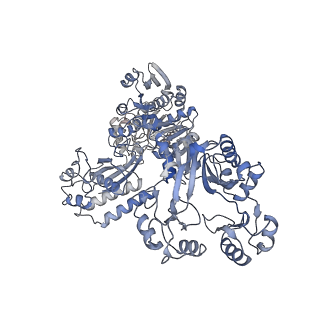 23326_7txu_A_v1-1
Cyanophycin synthetase 1 from Synechocystis sp. UTEX2470 with ATP and 16x(Asp-Arg)