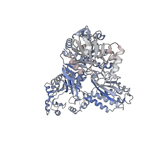 23326_7txu_B_v1-1
Cyanophycin synthetase 1 from Synechocystis sp. UTEX2470 with ATP and 16x(Asp-Arg)