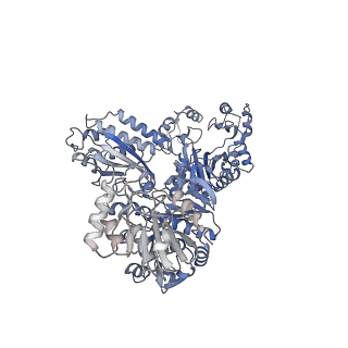 23326_7txu_C_v1-1
Cyanophycin synthetase 1 from Synechocystis sp. UTEX2470 with ATP and 16x(Asp-Arg)