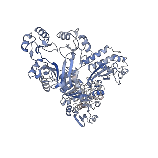 23326_7txu_D_v1-1
Cyanophycin synthetase 1 from Synechocystis sp. UTEX2470 with ATP and 16x(Asp-Arg)