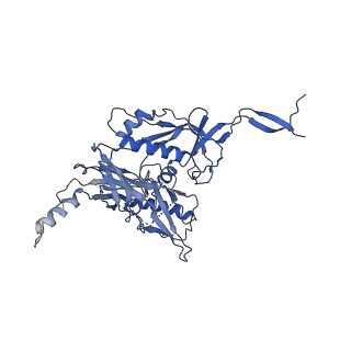 26157_7txd_E_v1-2
Cryo-EM structure of BG505 SOSIP HIV-1 Env trimer in complex with CD4 receptor (D1D2) and broadly neutralizing darpin bnD.9