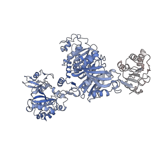 26161_7txv_A_v1-1
Cyanophycin synthetase 1 from Synechocystis sp. UTEX2470 E82Q with ATP and 16x(Asp-Arg)