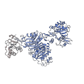 26161_7txv_B_v1-1
Cyanophycin synthetase 1 from Synechocystis sp. UTEX2470 E82Q with ATP and 16x(Asp-Arg)