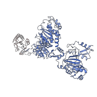 26161_7txv_C_v1-1
Cyanophycin synthetase 1 from Synechocystis sp. UTEX2470 E82Q with ATP and 16x(Asp-Arg)