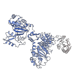 26161_7txv_D_v1-1
Cyanophycin synthetase 1 from Synechocystis sp. UTEX2470 E82Q with ATP and 16x(Asp-Arg)