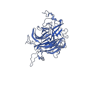 26162_7txz_A_v1-2
Nipah Virus attachment (G) glycoprotein ectodomain in complex with nAH1.3 neutralizing antibody Fab fragment (local refinement of the distal region)