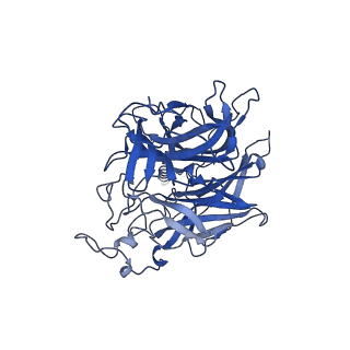 26162_7txz_B_v1-2
Nipah Virus attachment (G) glycoprotein ectodomain in complex with nAH1.3 neutralizing antibody Fab fragment (local refinement of the distal region)