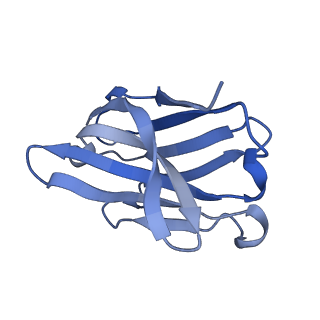 26162_7txz_E_v1-2
Nipah Virus attachment (G) glycoprotein ectodomain in complex with nAH1.3 neutralizing antibody Fab fragment (local refinement of the distal region)
