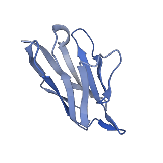 26162_7txz_F_v1-2
Nipah Virus attachment (G) glycoprotein ectodomain in complex with nAH1.3 neutralizing antibody Fab fragment (local refinement of the distal region)