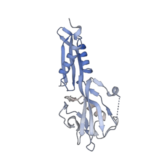41695_8txo_A_v1-0
E. coli DNA-directed RNA polymerase transcription elongation complex bound to the unnatural dZ-PTP base pair in the active site