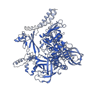 41695_8txo_I_v1-0
E. coli DNA-directed RNA polymerase transcription elongation complex bound to the unnatural dZ-PTP base pair in the active site