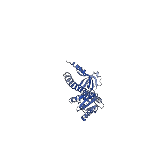 41704_8txr_B_v1-0
E. coli ExoVII(H238A)