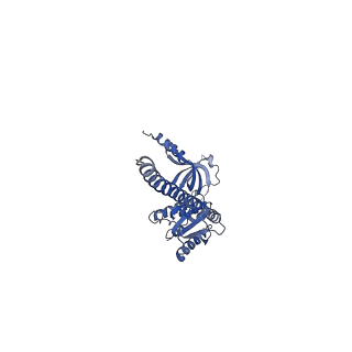 41704_8txr_B_v1-1
E. coli ExoVII(H238A)