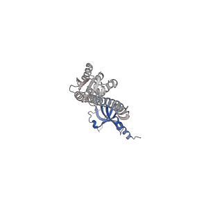 41704_8txr_D_v1-0
E. coli ExoVII(H238A)