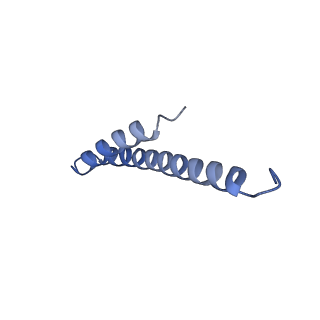 41704_8txr_b_v1-0
E. coli ExoVII(H238A)
