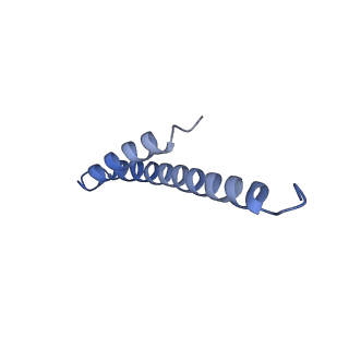 41704_8txr_b_v1-1
E. coli ExoVII(H238A)