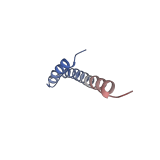 41704_8txr_d_v1-0
E. coli ExoVII(H238A)