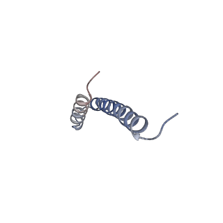 41704_8txr_e_v1-0
E. coli ExoVII(H238A)