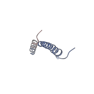 41704_8txr_e_v1-1
E. coli ExoVII(H238A)