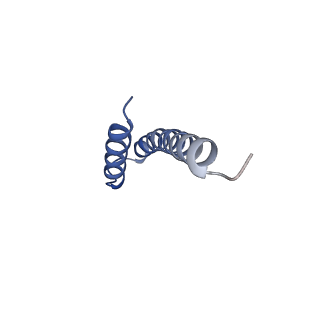 41704_8txr_f_v1-0
E. coli ExoVII(H238A)