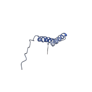 41704_8txr_g_v1-0
E. coli ExoVII(H238A)
