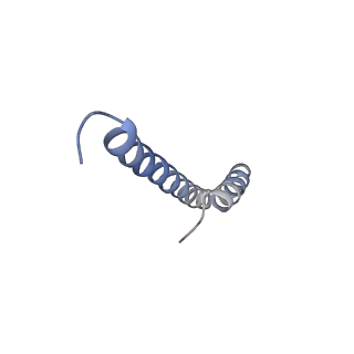41704_8txr_i_v1-0
E. coli ExoVII(H238A)