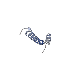 41704_8txr_k_v1-0
E. coli ExoVII(H238A)