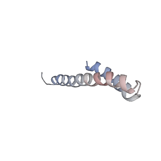 41704_8txr_n_v1-1
E. coli ExoVII(H238A)