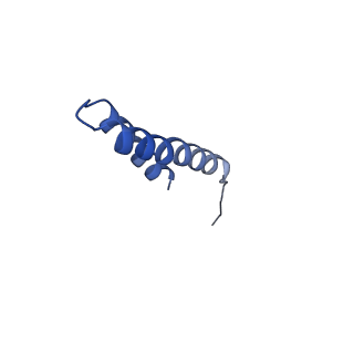 41704_8txr_o_v1-0
E. coli ExoVII(H238A)