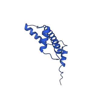 41706_8txv_A_v1-1
Cryo-EM structure of the human nucleosome core particle ubiquitylated at histone H2A K15 in complex with RNF168 (Class 1)