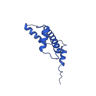 41706_8txv_A_v1-2
Cryo-EM structure of the human nucleosome core particle ubiquitylated at histone H2A K15 in complex with RNF168 (Class 1)