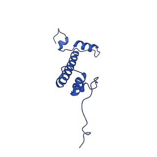 41706_8txv_C_v1-2
Cryo-EM structure of the human nucleosome core particle ubiquitylated at histone H2A K15 in complex with RNF168 (Class 1)