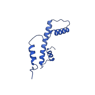 41706_8txv_E_v1-2
Cryo-EM structure of the human nucleosome core particle ubiquitylated at histone H2A K15 in complex with RNF168 (Class 1)