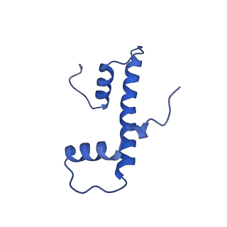 41706_8txv_F_v1-2
Cryo-EM structure of the human nucleosome core particle ubiquitylated at histone H2A K15 in complex with RNF168 (Class 1)