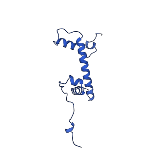 41706_8txv_G_v1-2
Cryo-EM structure of the human nucleosome core particle ubiquitylated at histone H2A K15 in complex with RNF168 (Class 1)