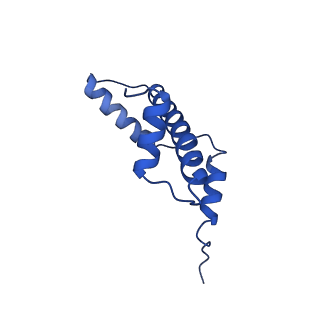 41707_8txw_A_v1-1
Cryo-EM structure of the human nucleosome core particle ubiquitylated at histone H2A K15 in complex with RNF168 (Class 2)