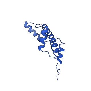 41707_8txw_A_v1-2
Cryo-EM structure of the human nucleosome core particle ubiquitylated at histone H2A K15 in complex with RNF168 (Class 2)