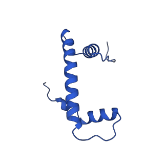 41707_8txw_B_v1-2
Cryo-EM structure of the human nucleosome core particle ubiquitylated at histone H2A K15 in complex with RNF168 (Class 2)