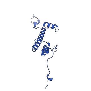 41707_8txw_C_v1-2
Cryo-EM structure of the human nucleosome core particle ubiquitylated at histone H2A K15 in complex with RNF168 (Class 2)