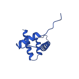 41707_8txw_D_v1-2
Cryo-EM structure of the human nucleosome core particle ubiquitylated at histone H2A K15 in complex with RNF168 (Class 2)