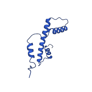 41707_8txw_E_v1-2
Cryo-EM structure of the human nucleosome core particle ubiquitylated at histone H2A K15 in complex with RNF168 (Class 2)