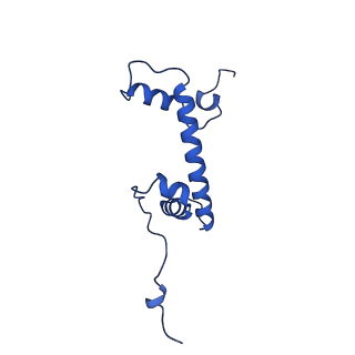 41707_8txw_G_v1-2
Cryo-EM structure of the human nucleosome core particle ubiquitylated at histone H2A K15 in complex with RNF168 (Class 2)