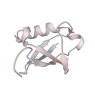 41707_8txw_M_v1-2
Cryo-EM structure of the human nucleosome core particle ubiquitylated at histone H2A K15 in complex with RNF168 (Class 2)